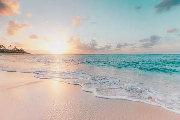 sean-oulashin-KMn4VEeEPR8-unsplash sean oulashin KMn4VEeEPR8 unsplash