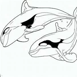 Dibujos de ballenas para colorear